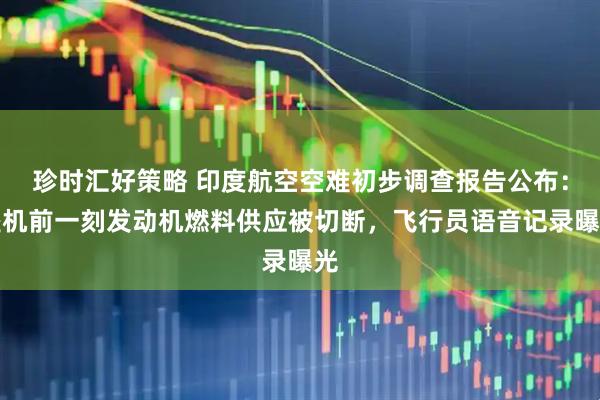 珍时汇好策略 印度航空空难初步调查报告公布：坠机前一刻发动机燃料供应被切断，飞行员语音记录曝光