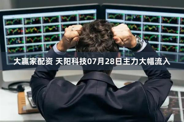 大赢家配资 天阳科技07月28日主力大幅流入