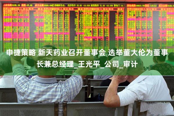 申捷策略 新天药业召开董事会 选举董大伦为董事长兼总经理_王光平_公司_审计